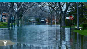 What Q1 2026 Data Tells Us About Roof Damage and Insurance Claims